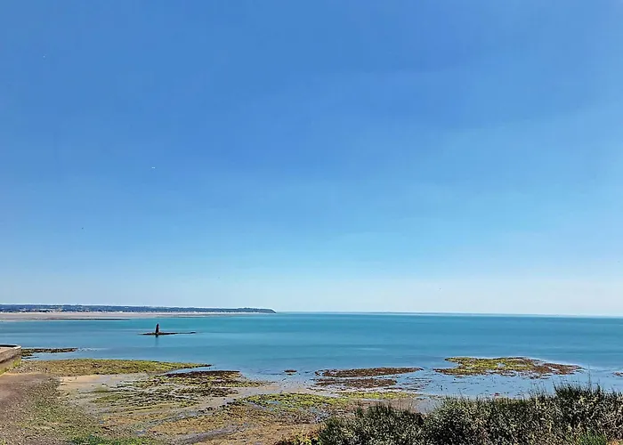 Appartement F3 A 600M Du Centre Ville, Vue Sur Mer, Balcon - Fr-1-361-167 公寓 格朗维尔